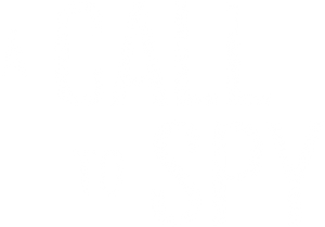 A Call to Spy's poster
