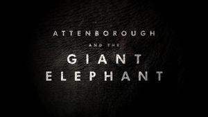 Attenborough and the Giant Elephant's poster