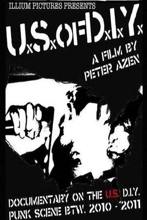 U.S. of D.I.Y.'s poster