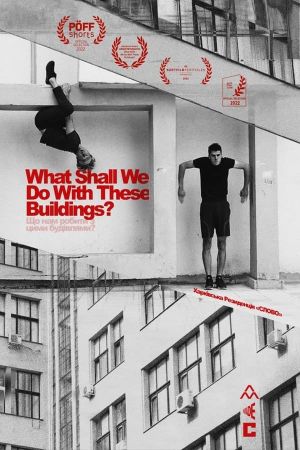 What Shall We Do With These Buildings?'s poster image