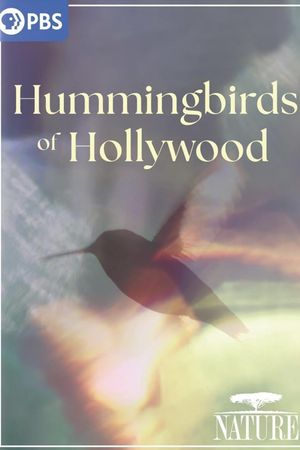 Hummingbirds of Hollywood's poster