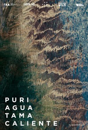 Puritama's poster