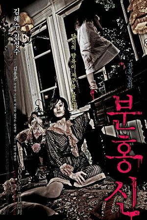 The Red Shoes's poster