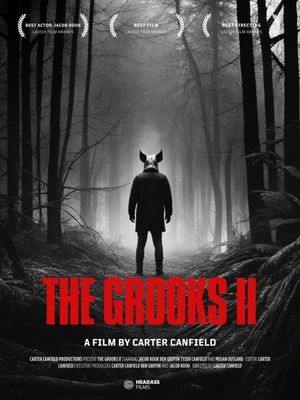 The Grooks II's poster