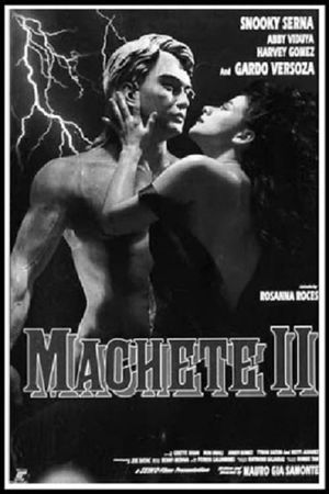 Machete II's poster
