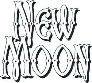 New Moon's poster