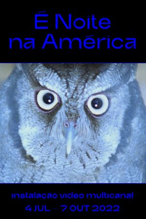 It Is Night in America's poster