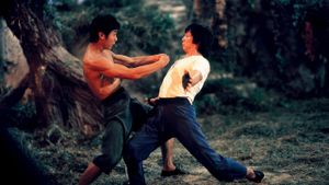Mad Monkey Kung Fu's poster