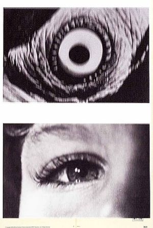 The Searching Eye's poster
