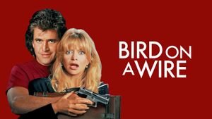 Bird on a Wire's poster