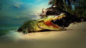 Life and Death in Paradise: Crocs of the Caribbean's poster