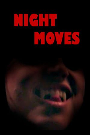 Night Moves's poster image