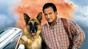 K-911's poster