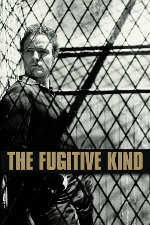The Fugitive Kind's poster