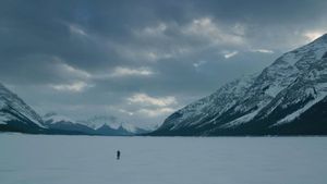 The Revenant's poster
