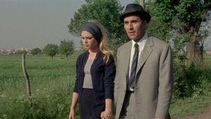 Contempt's poster