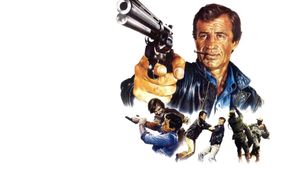 The Professional's poster