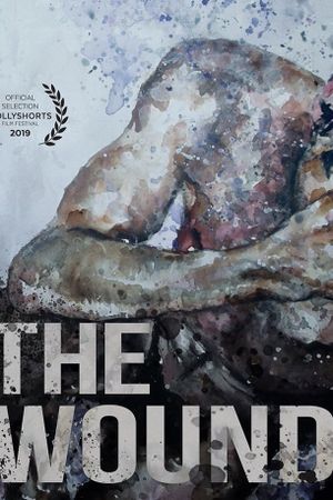 The Wound's poster