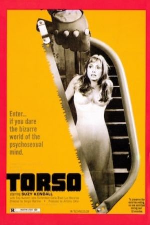 Torso's poster