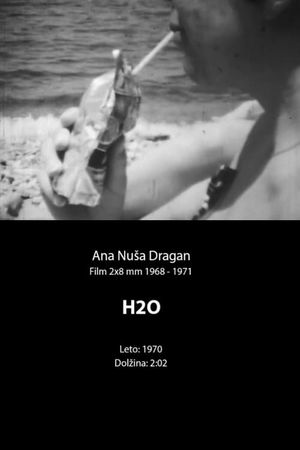 H2O's poster