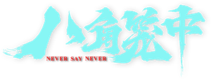 Never Say Never's poster