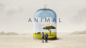 Animal's poster