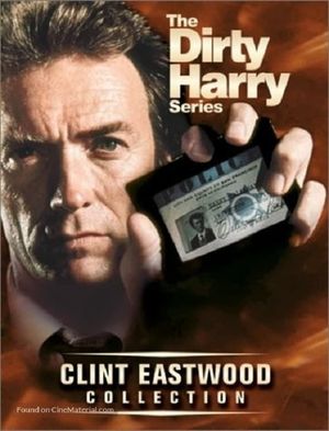 Dirty Harry's poster