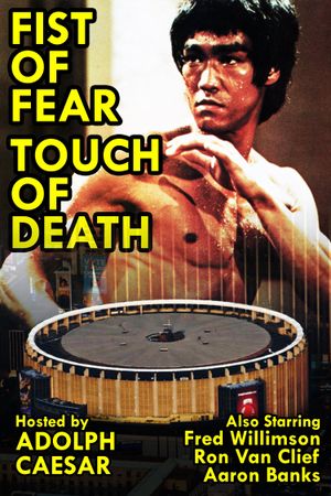 Fist of Fear, Touch of Death's poster