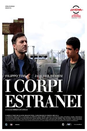 Foreign Bodies's poster