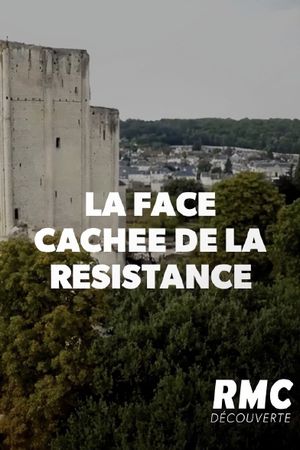 La face cachée de la Résistance's poster