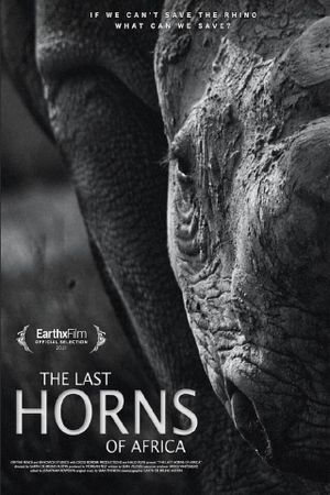 The Last Horns of Africa's poster