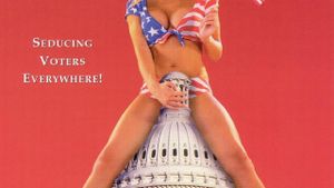 Sex, Lies & Politics's poster