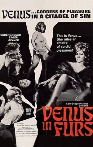 Venus in Furs's poster