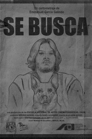 Wanted's poster