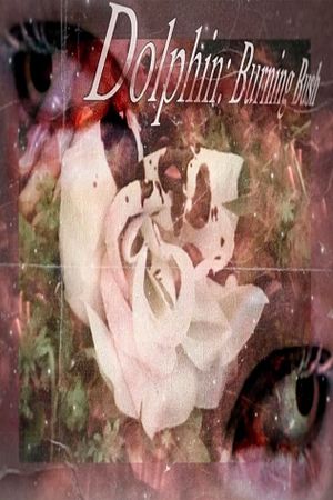 Dolphin: Burning bush's poster