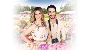 The Wedding Arrangement's poster