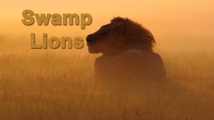 Swamp Lions's poster