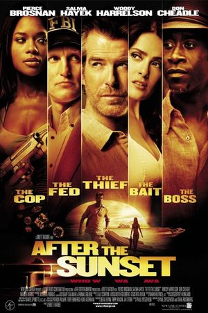 After the Sunset's poster