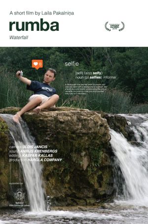 Waterfall's poster