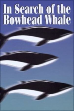 In Search of the Bowhead Whale's poster