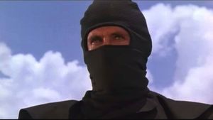 American Ninja's poster