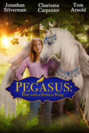 Pegasus: Pony with a Broken Wing's poster