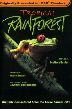 Tropical Rainforest's poster