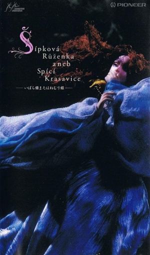 Briar-Rose or the Sleeping Beauty's poster