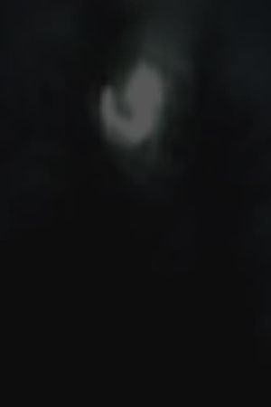 Moonlight's poster