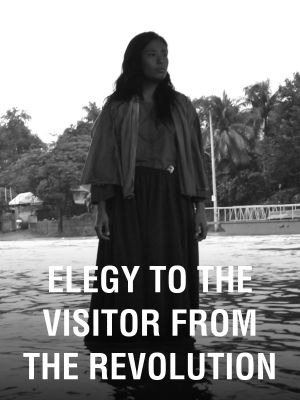 Elegy to the Visitor from the Revolution's poster image