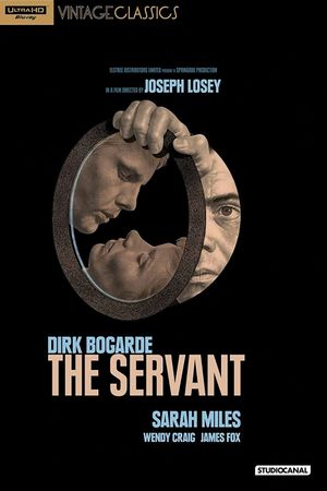 The Servant's poster