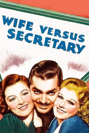 Wife vs. Secretary's poster
