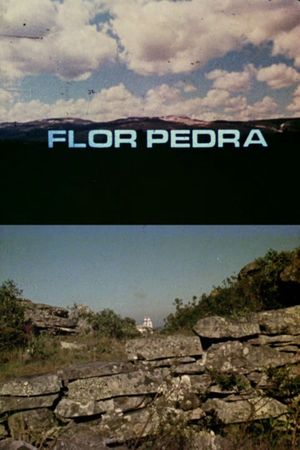 Flor Pedra's poster