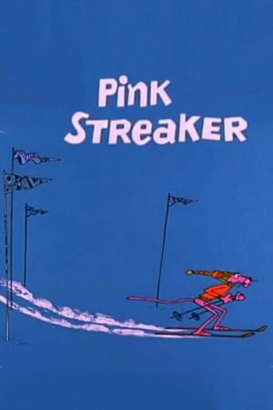 Pink Streaker's poster